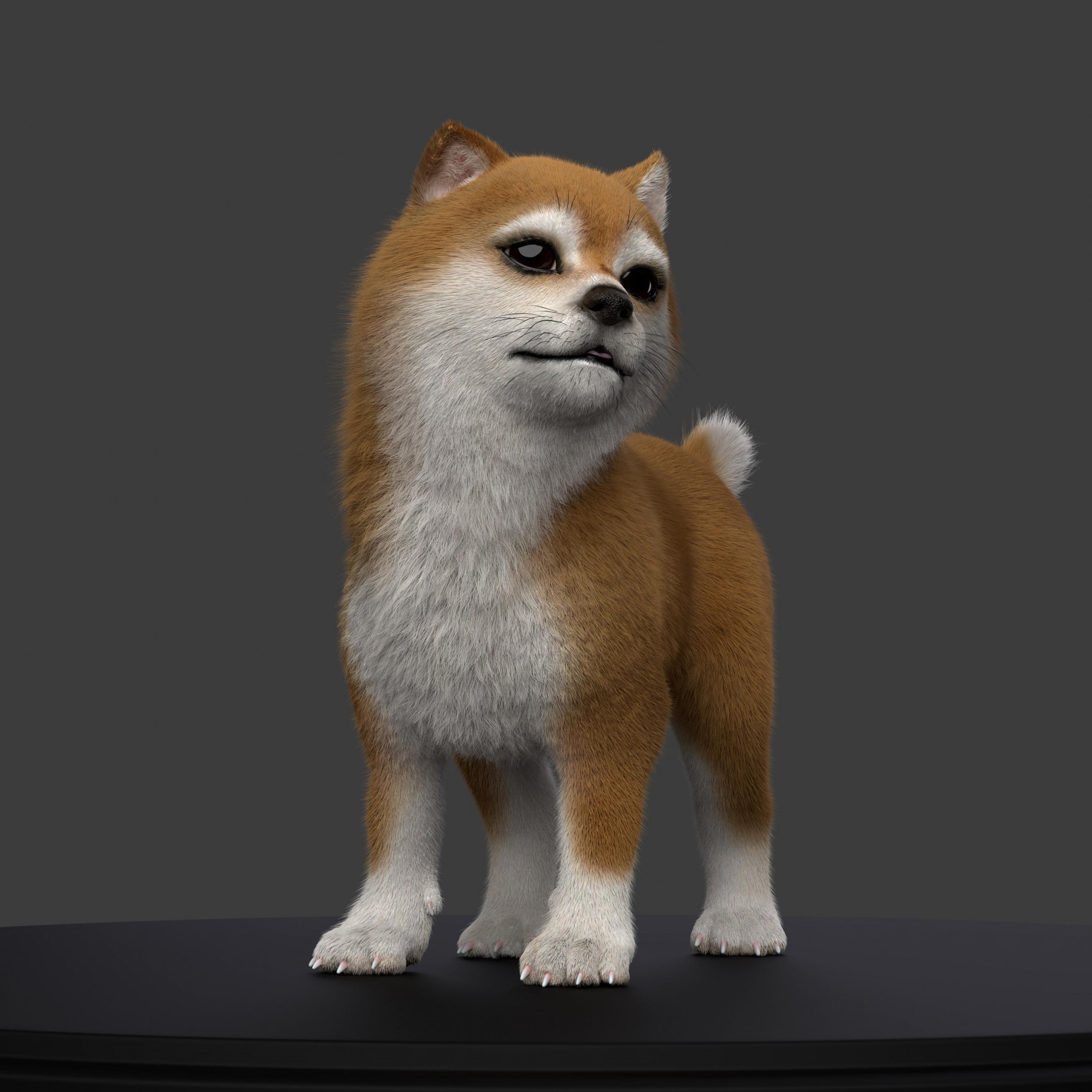 Cub Dog